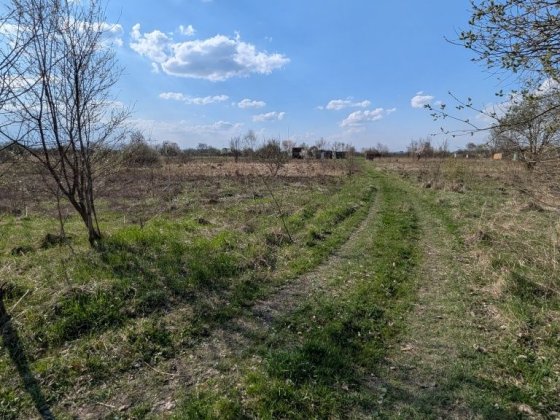Земельна ділянка,дача Хриплин Ивано-Франковск