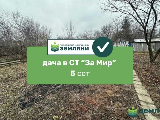 Продається дача 4,96 сот в СТ ЗА МИР (5)