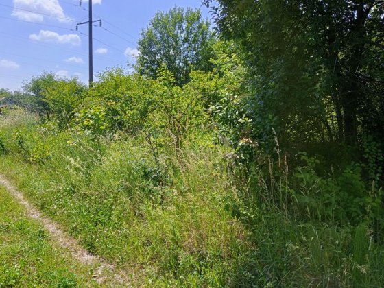 Продається дачна ділянка в Дем'яновому Лазі