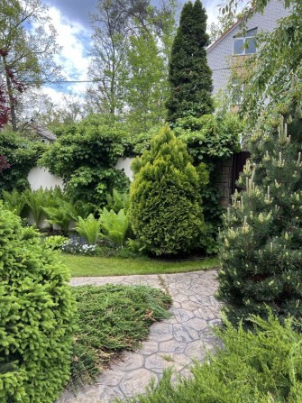 Унікальна ділянка 21сотка біля парку , з неповторним ландшафтом . - фото 1