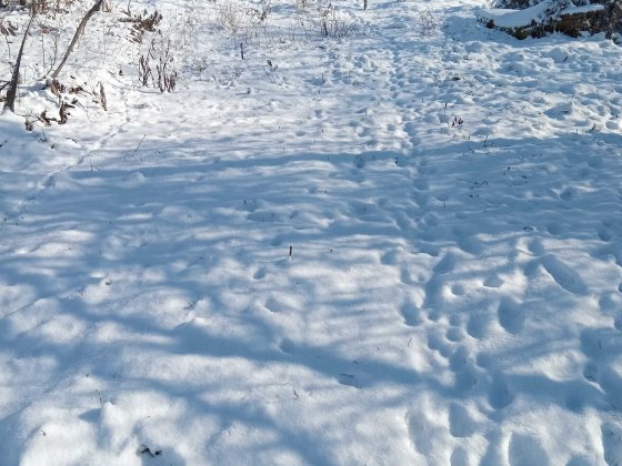 17,5К за ділянку. Прямокутна - під будинок. Район Солом"янський. Київ