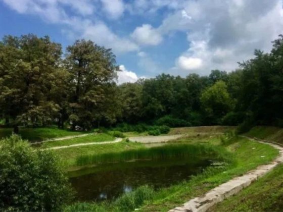Продаж мальовничої ділянки 6 Га (парк Феофанія) від власника. Киев