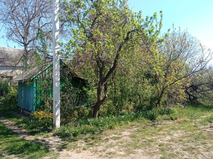 Продаж земельної ділянки дача - фото 1