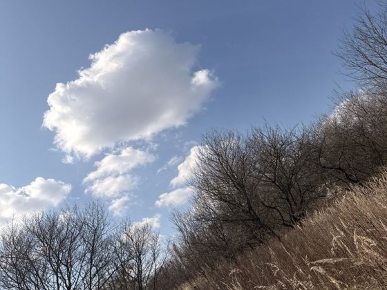 Продаж землі, Лезнево, Хмельницький Хмельницький