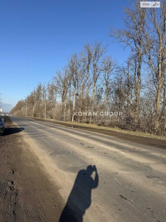 ‼️Продаж фасадної ділянки 1,6га траса Хмельницький #89512‼️ - фото 1