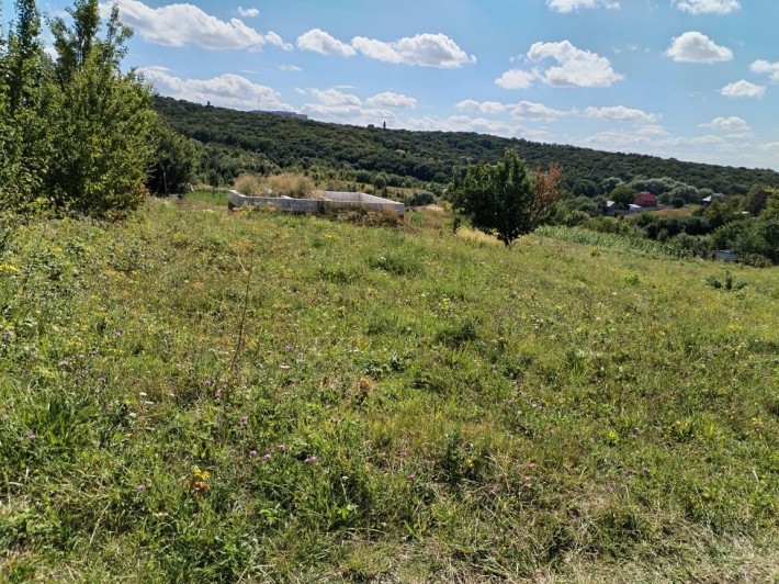 Ружична продаж земельної ділянки - фото 1