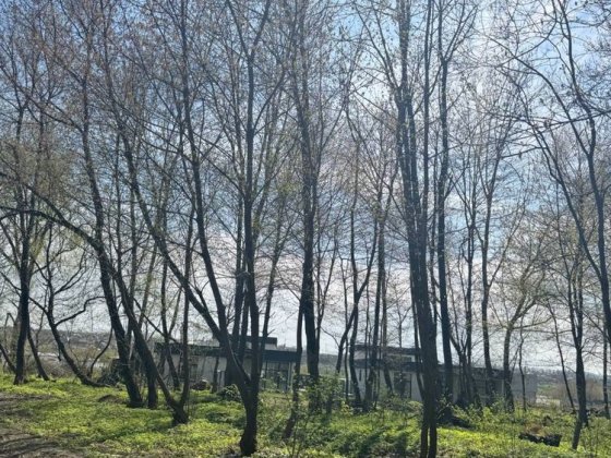 12 сотих під лісом, поруч вулиці Затишна! Хмельницкий