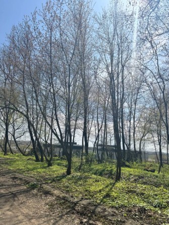 12 сотих під лісом, поруч вулиці Затишна! - фото 1