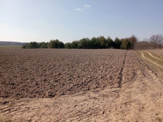 Продається земельна ділянка площею 60 соток в мальовничому місці на хуторі біля лісу. Поблизу села Б Луцьк