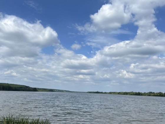 Земля на березі річки | Південний Буг | 8 сотих | Ліс, Вода, Світло, Інтернет Хмельницький