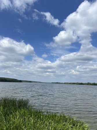 Земля на березі річки | Південний Буг | 8 сотих | Ліс, Вода, Світло, Інтернет - фото 1