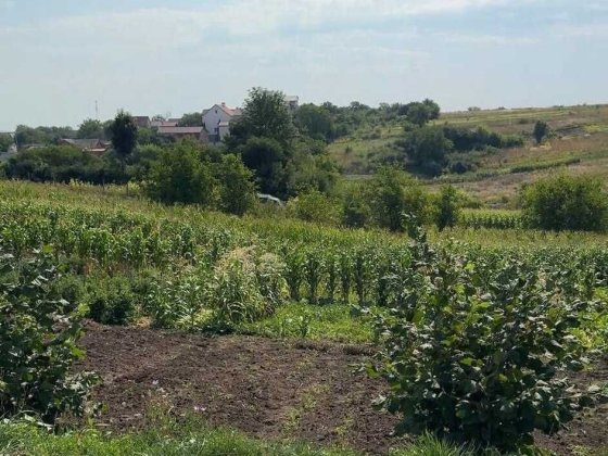 Продається земельна ділянка площею 7 соток у районі Гречани, вул. Щаслива, 2А — поруч із котеджним м Хмельницький