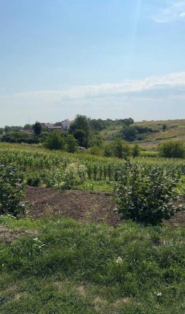 Продається земельна ділянка площею 7 соток у районі Гречани, вул. Щаслива, 2А — поруч із котеджним м - фото 1