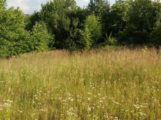 Продаж земельної ділянки в Лезнево 6 соток, проїзд Взуттєвиків Хмельницький