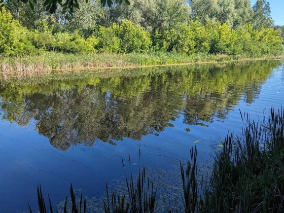 Продаються 2 земельні ділянки Полтава