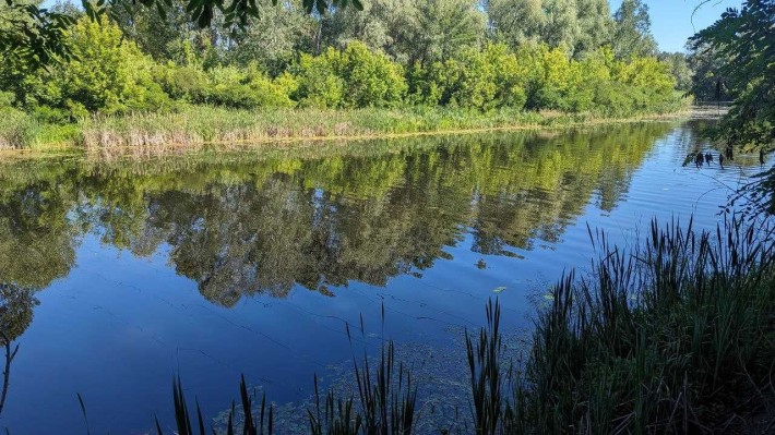 Продаються 2 земельні ділянки - фото 1