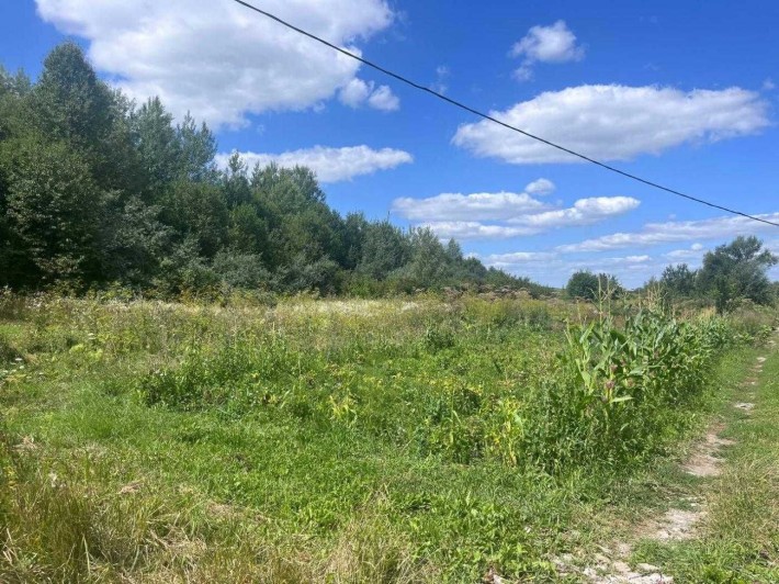 Продаж земельної ділянки. Видрові Доли. - фото 1