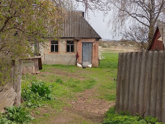 Земельна ділянка / дача 50 соток з будівлями Полтава