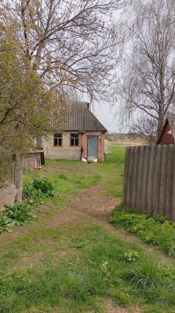 Земельна ділянка / дача 50 соток з будівлями - фото 1