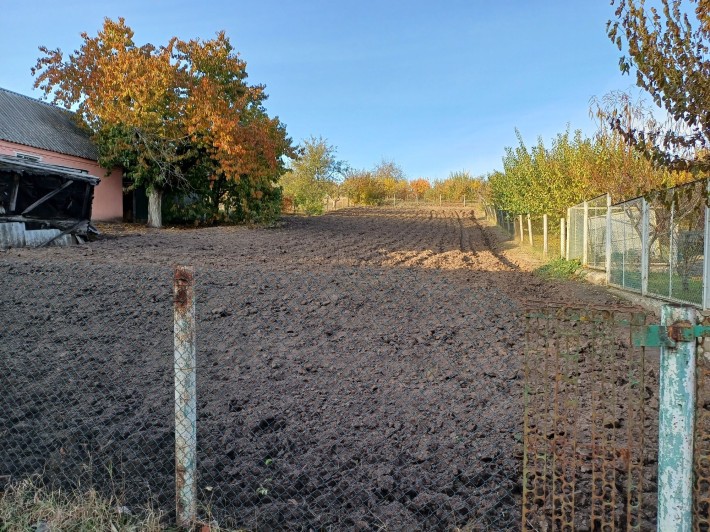 Земельна ділянка. Лезневе. - фото 1
