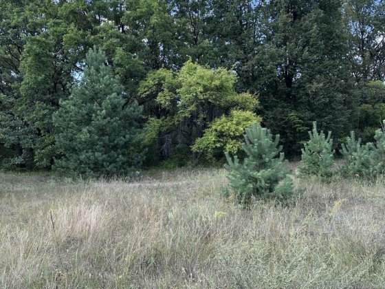 Місце під будинок в районі Тиші Полтава