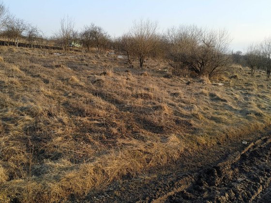 Видрові Доли.Продам дві земельних ділянки Хмельницький