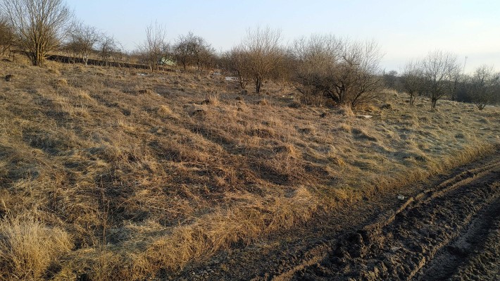 Видрові Доли.Продам дві земельних ділянки - фото 1