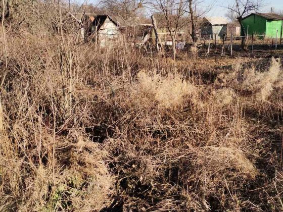 Дачный участок в Цукровык "Сахарник" Белопольское шоссе. Сумы