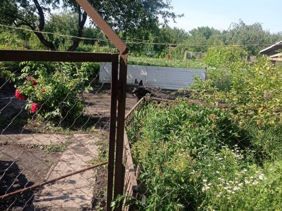 Продам земельну ділянку в кооперативі  Цукровик Суми