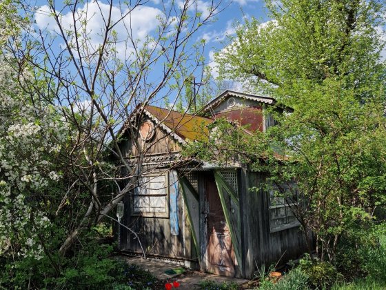 Дача в дачному масиві "Фрунзенець" Суми Сумы