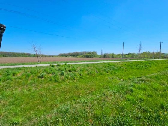 Ділянка 1,3 Га, Щербані, приватна власність Полтава