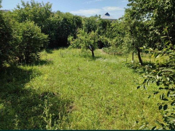 Продам земельну ділянку в Ружичні Хмельницький