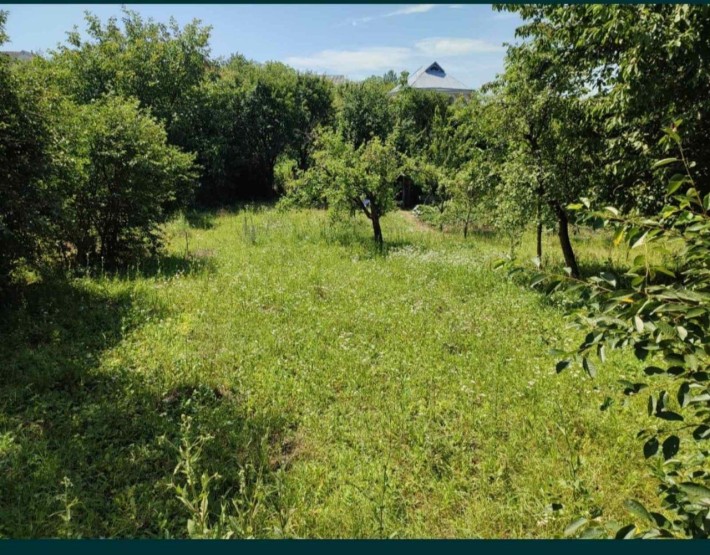 Продам земельну ділянку в Ружичні - фото 1
