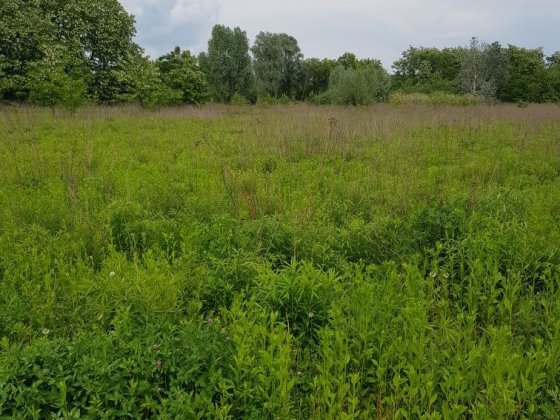Ваш приватний простір у Полтаві: 10 соток під будівництво Полтава