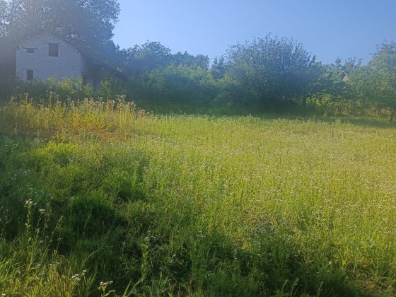 Приватизована земельна ділянка під забудову з цікавим ландшафтом в передмісті Полтави Полтава