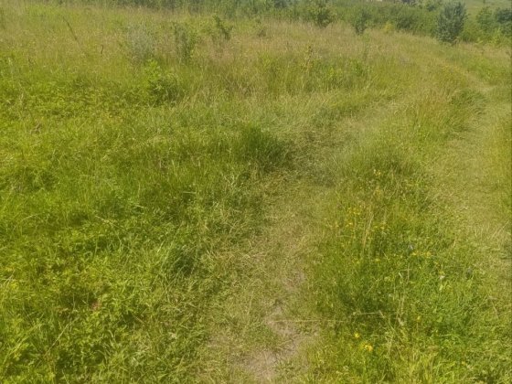 Продам землю в Хмельницькому Хмельницький