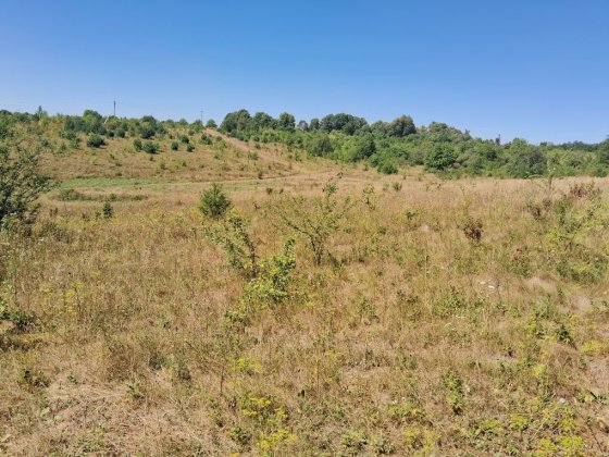 Продаж ділянки 25сот під сонячну станцію,малину
