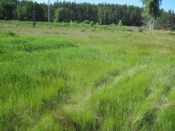 Земельна ділянка під забудову Полтава