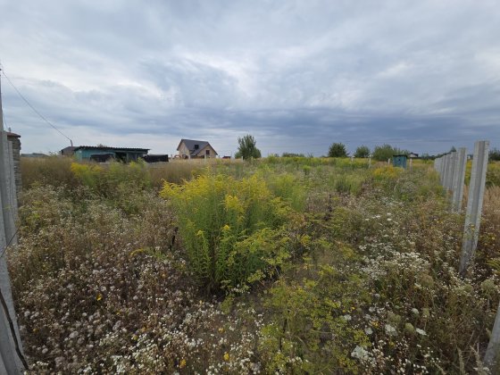 Продаж земельної ділянки, 6 сотих