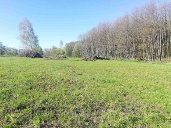 Продам земельну ділянку 0.5га,перша лінія,ви'їздна трассу Н-03. Хмельницький