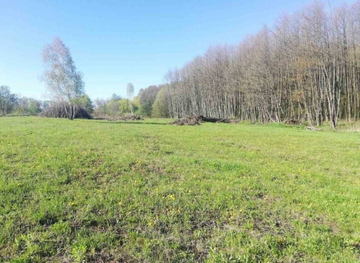 Продам земельну ділянку 0.5га,перша лінія,ви'їздна трассу Н-03. - фото 1