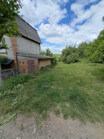 Продам земельну ділянку - фото 1