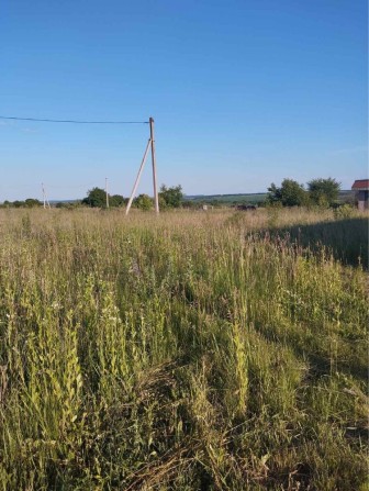 Земельна ділянка - фото 1