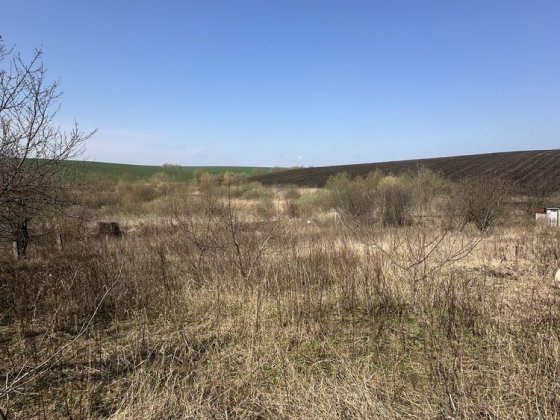 Продам земельну ділянку. Садівниче товариство «Наш ліс» Хмельницький