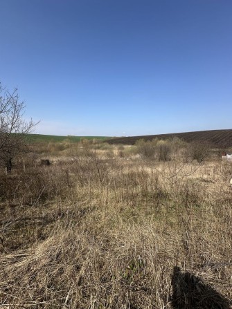 Продам земельну ділянку. Садівниче товариство «Наш ліс» - фото 1