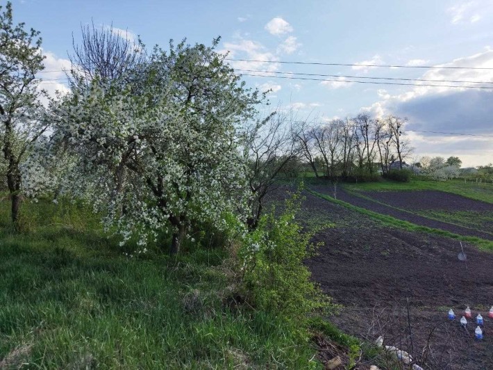Пригород земельна ділянка 33 сот Н - фото 1