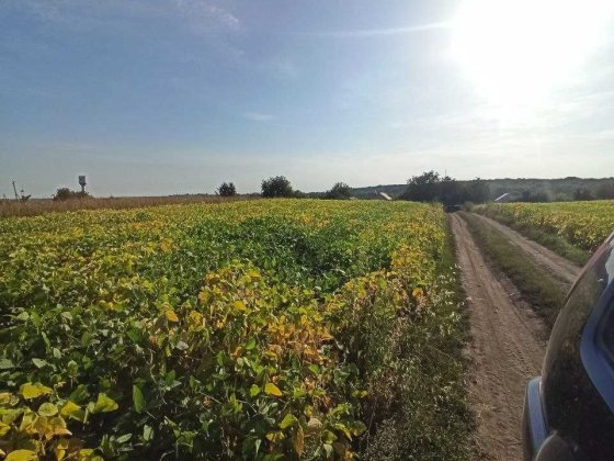 Продам земельну ділянку під забудову.
