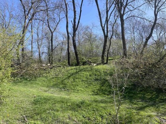 Земельна ділянка Олешин 30 соток Хмельницький