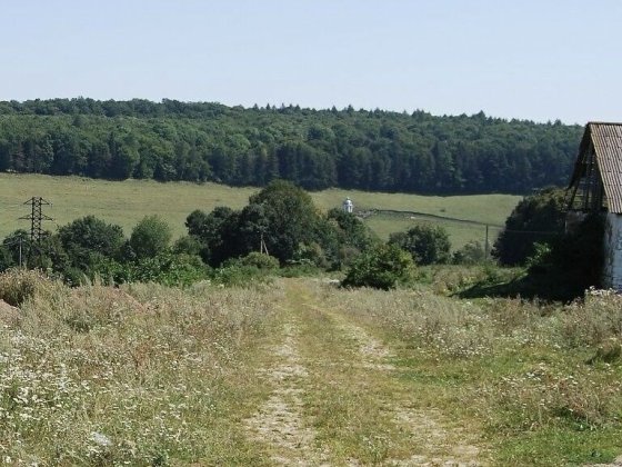 Ділянка 5.9 га. в центрі Лучки під забудову