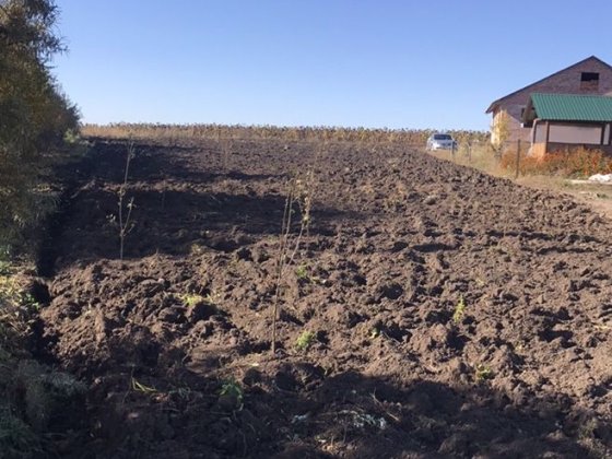 Ділянка  Грузевиця 6 Гречани Садиби участок Хмельницкий